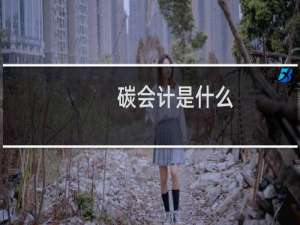 碳会计是什么