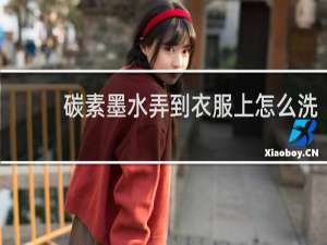 碳素墨水弄到衣服上怎么洗