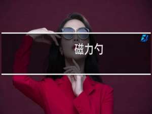 磁力勺