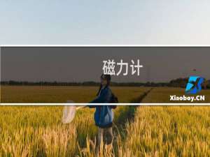 磁力计