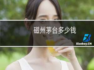 磁州茅台多少钱