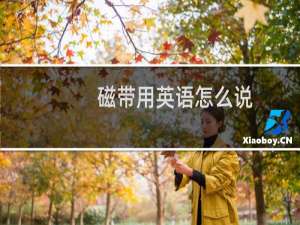 磁带用英语怎么说