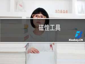 磁性工具