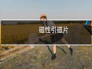 磁性引磁片