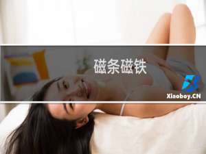 磁条磁铁