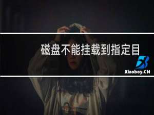 磁盘不能挂载到指定目录-云服务器问题