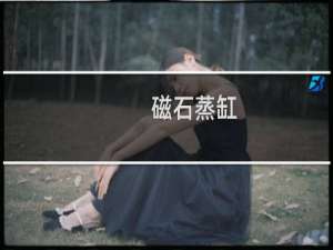 磁石蒸缸
