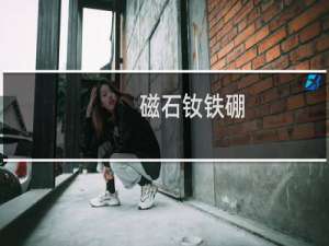 磁石钕铁硼