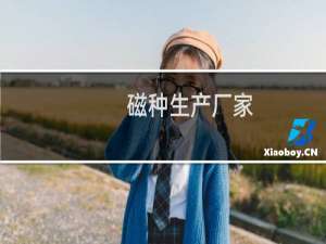 磁种生产厂家