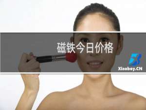 磁铁今日价格
