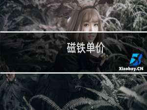 磁铁单价