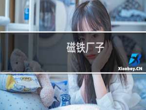磁铁厂子