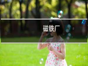 磁铁厂