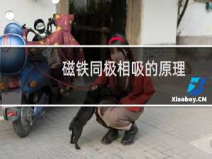 磁铁同极相吸的原理