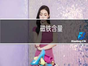 磁铁含量