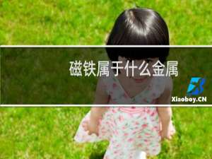 磁铁属于什么金属