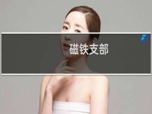 磁铁支部