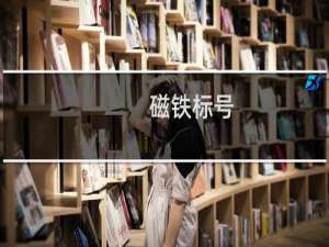 磁铁标号
