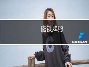 磁铁牌照