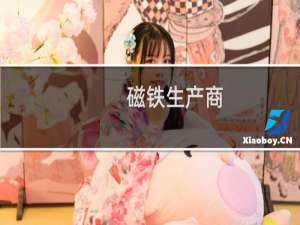 磁铁生产商