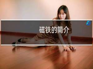 磁铁的简介