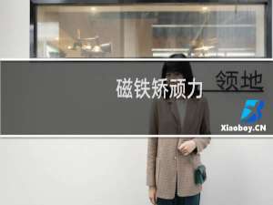 磁铁矫顽力