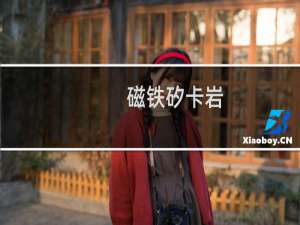 磁铁矽卡岩