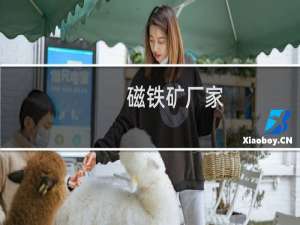 磁铁矿厂家