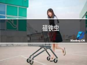 磁铁虫