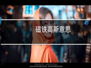 磁铁高斯意思
