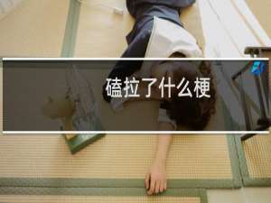 磕拉了什么梗