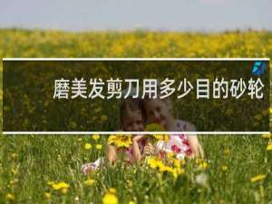 磨美发剪刀用多少目的砂轮
