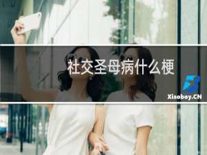 社交圣母病什么梗