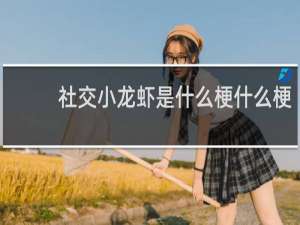 社交小龙虾是什么梗什么梗