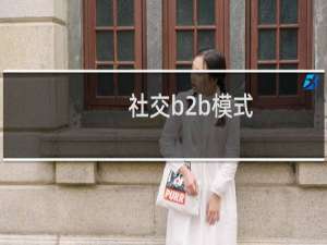 社交b2b模式