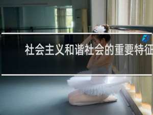 社会主义和谐社会的重要特征