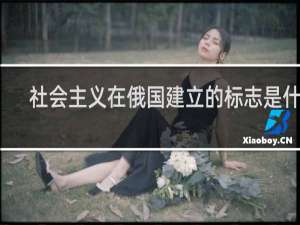社会主义在俄国建立的标志是什么