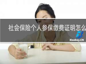 社会保险个人参保缴费证明怎么看