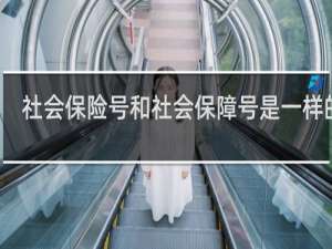 社会保险号和社会保障号是一样的吗