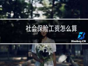 社会保险工资怎么算