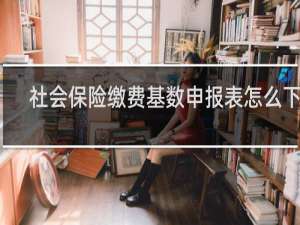 社会保险缴费基数申报表怎么下载