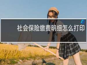 社会保险缴费明细怎么打印