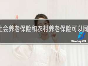 社会养老保险和农村养老保险可以同时交吗