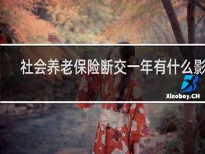 社会养老保险断交一年有什么影响