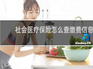 社会医疗保险怎么查缴费信息