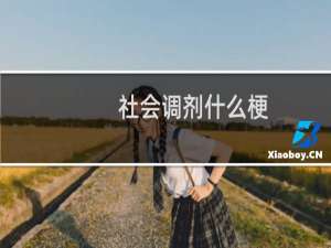 社会调剂什么梗