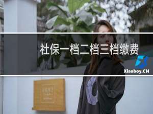 社保一档二档三档缴费有何区别（社保一档、二档、三档缴费分别多少钱哪个最划算）