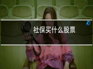 社保买什么股票