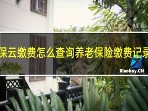 社保云缴费怎么查询养老保险缴费记录