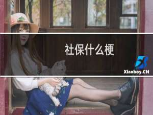 社保什么梗